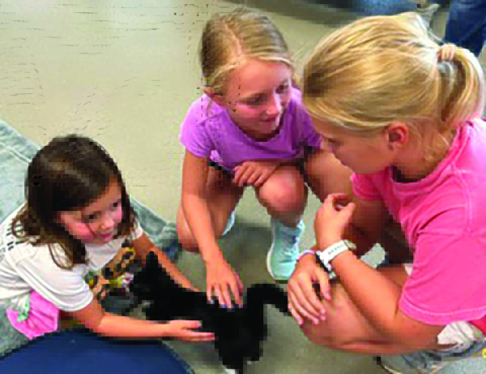 Lucy Rothrock, 6, and her friends Liza Harris, 9, and Sally Vaughn, 12.
