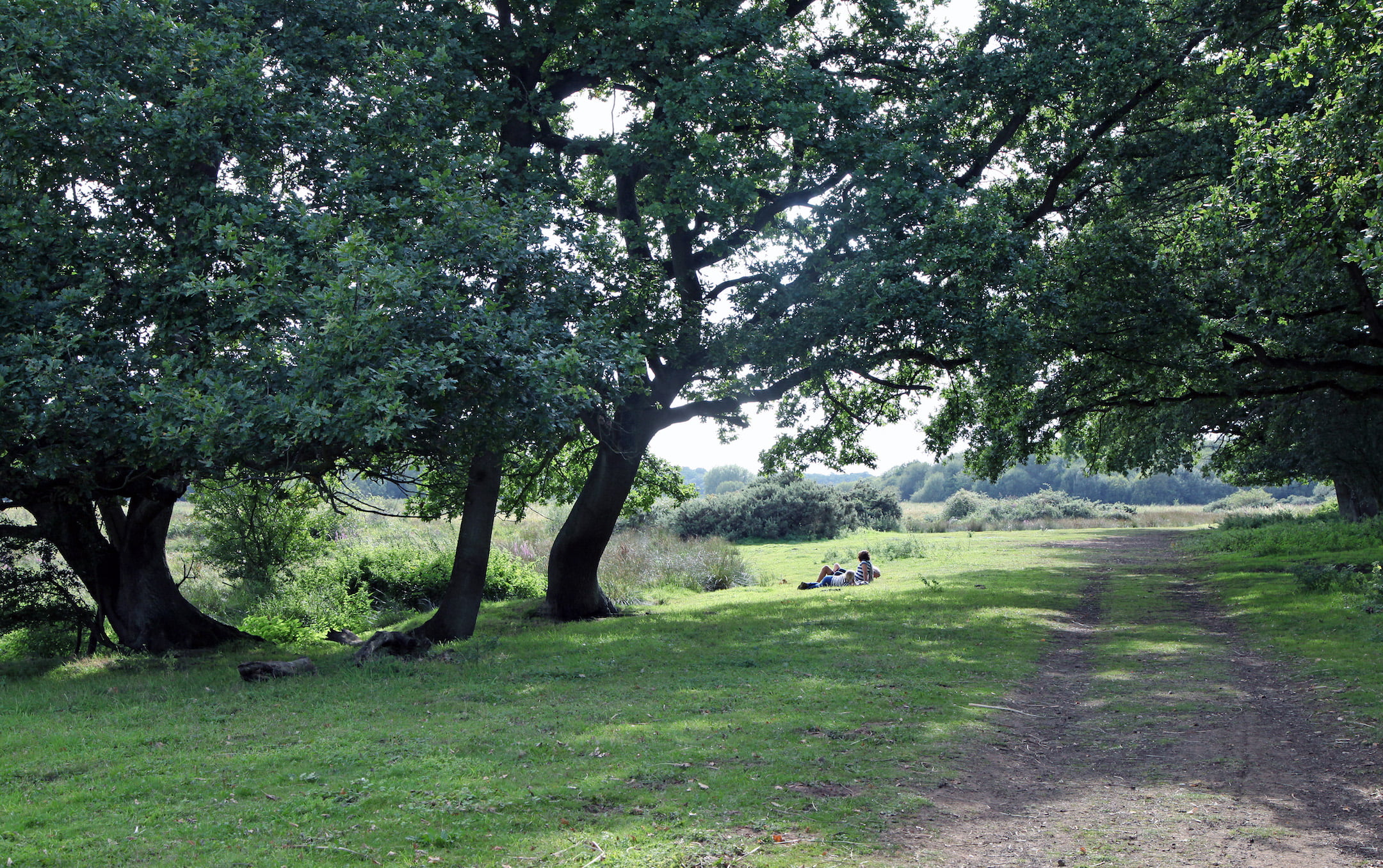 Radford Photo Club December winners