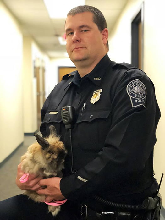 Officer Cottontail? Bunny joins police force. Fur real.