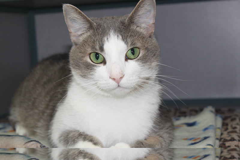 Being outdoors means possibly dealing with ticks