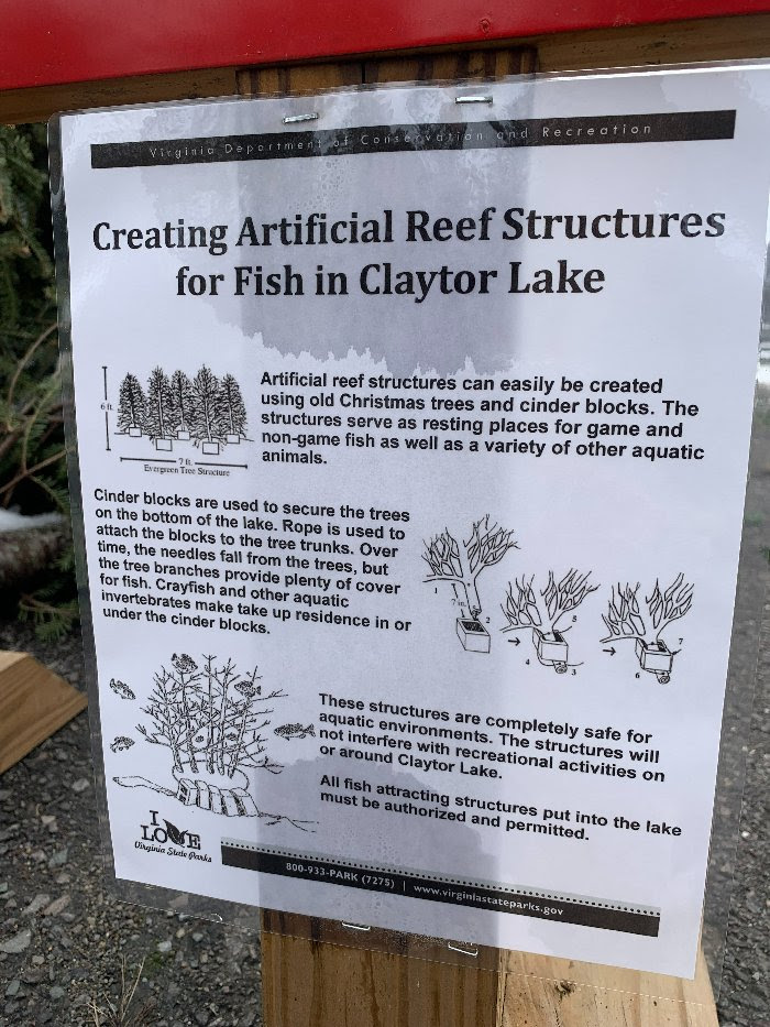 Christmas for the fishes donate Christmas trees to Claytor Lake News