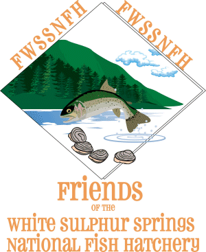 1898 building to get solar energy makeover