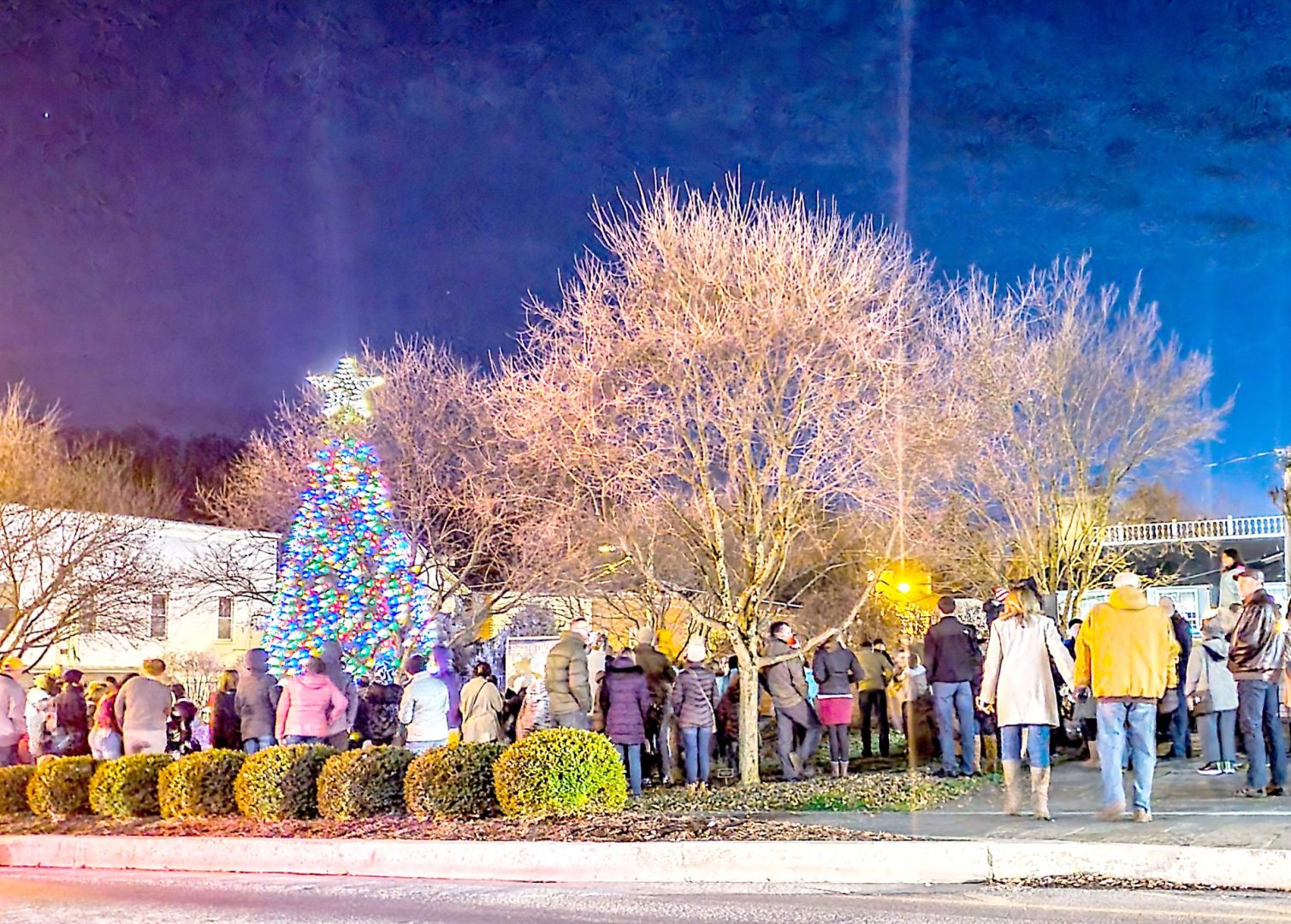 Tree Lighting Ceremony draws holidaygoers to Lewisburg Mountain