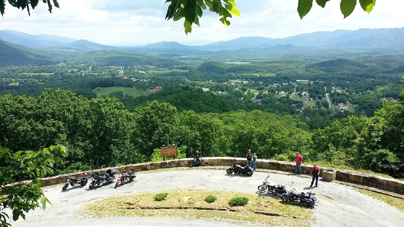 Junipers stolen from Rt. 42 Overlook