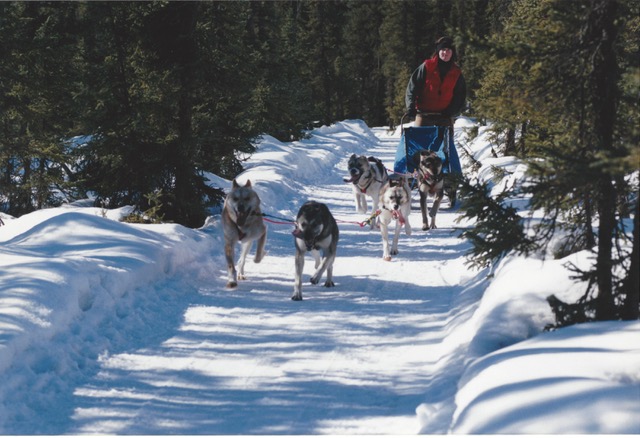 Botetourt native recalls trek on the Appalachian Trail, now ‘mushing’ for fun in Alaska