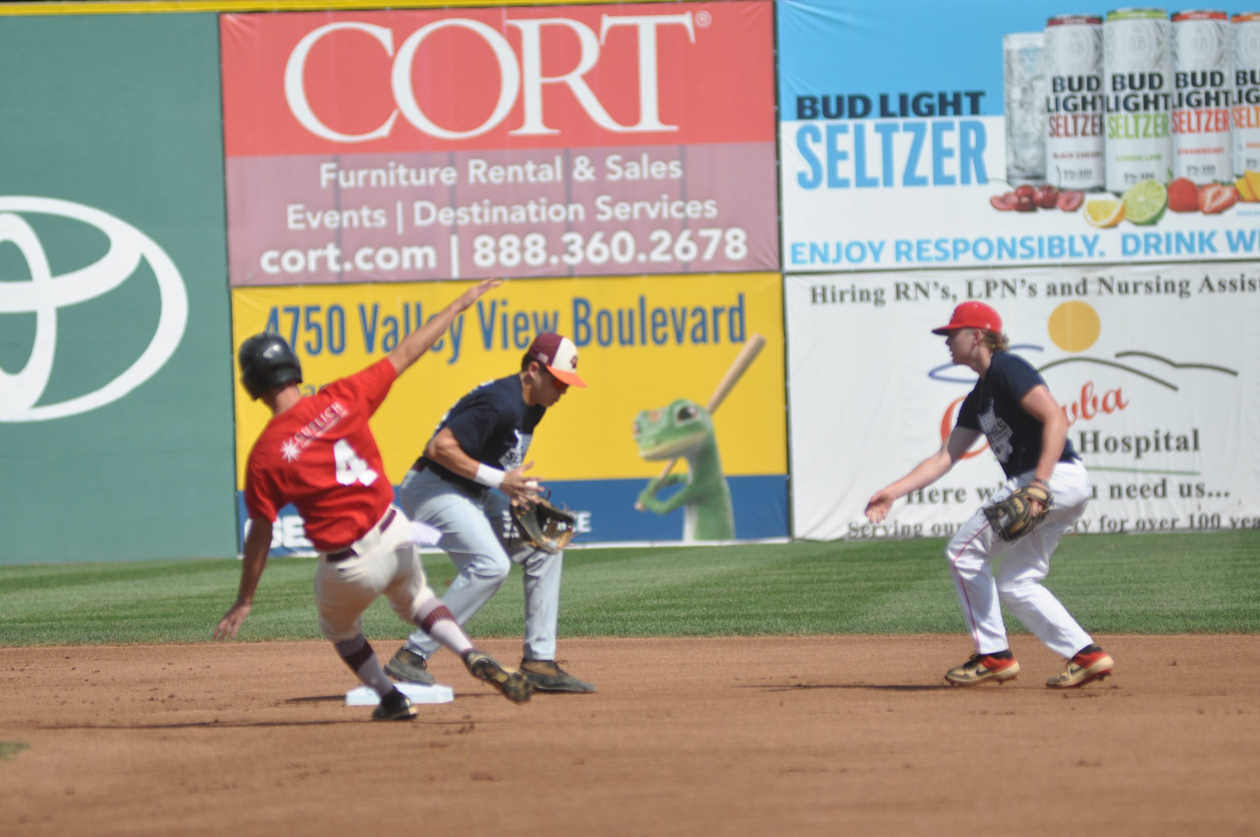 Library Buzz for August 18 Edition