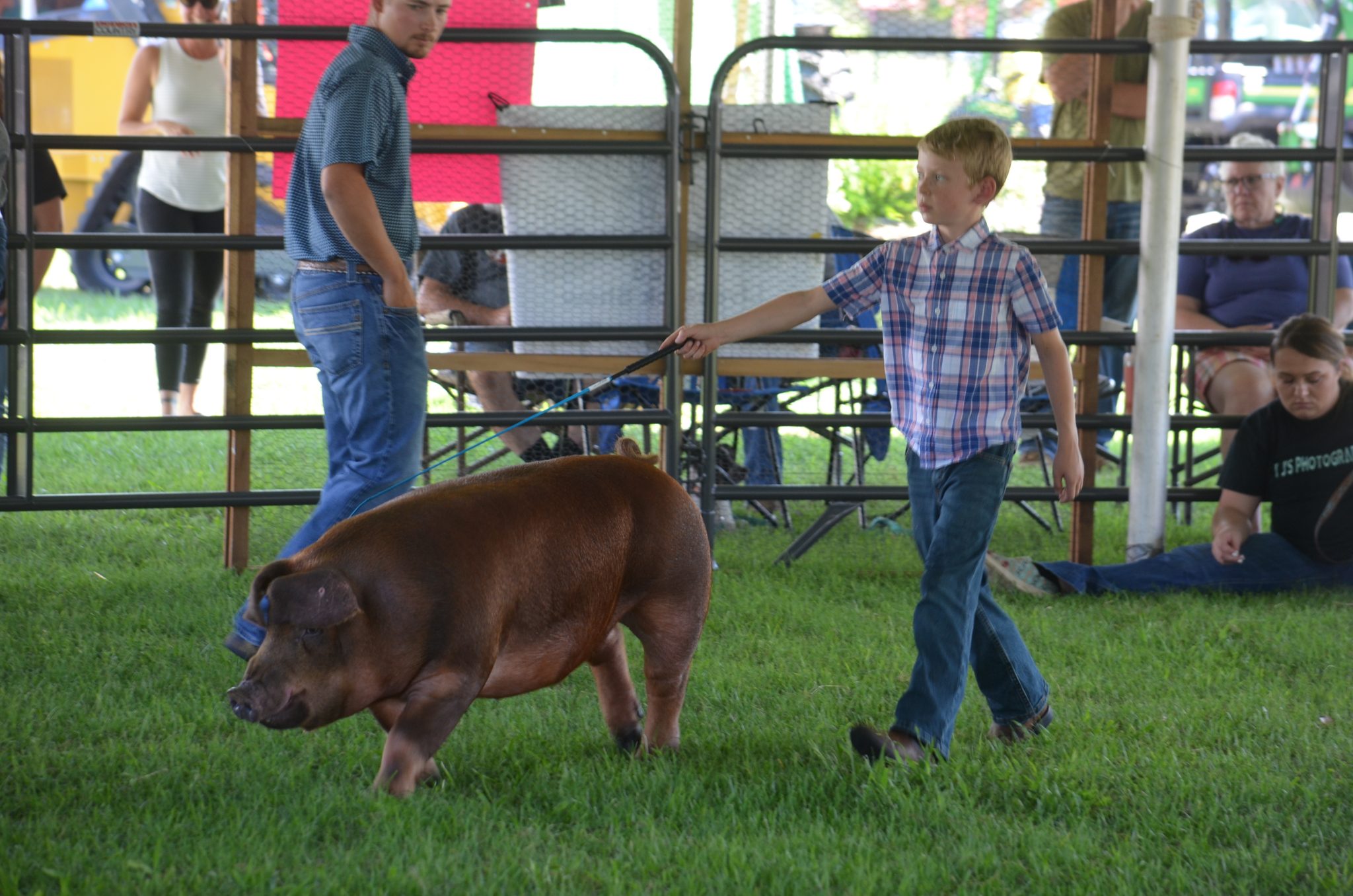 Botetourt County Fair livestock and ‘Farm House’ show results