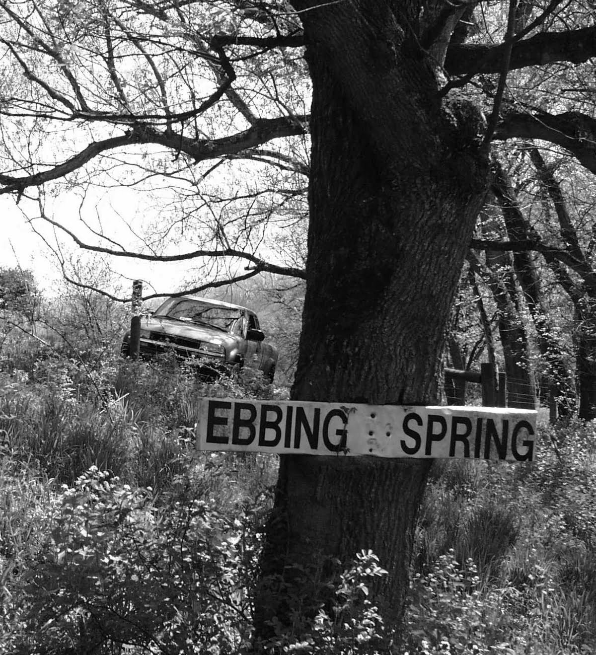 The Ebbing Spring in Smyth County