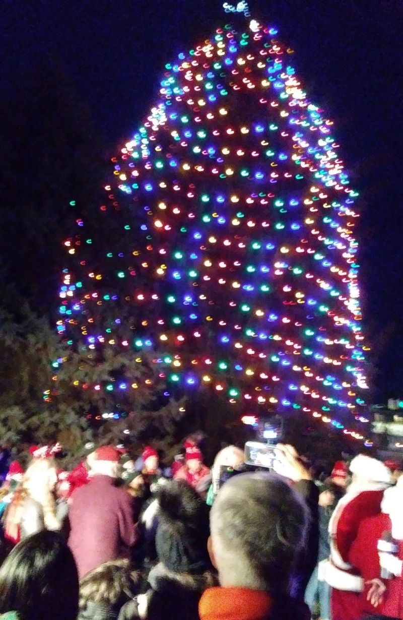 Tree lighting highlights Blacksburg’s Winter Lights Festival News