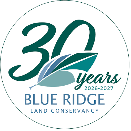 Blue Ridge Land Conservancy opposes Elliston rezoning