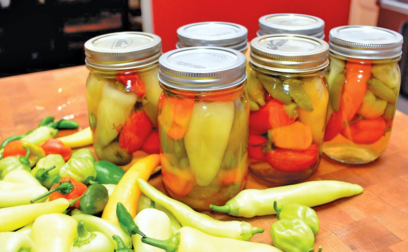 eJournal for August 27, 2015