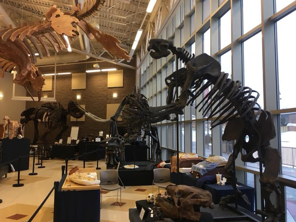 Harrison parks dinosaur exhibit to begin in mid-March