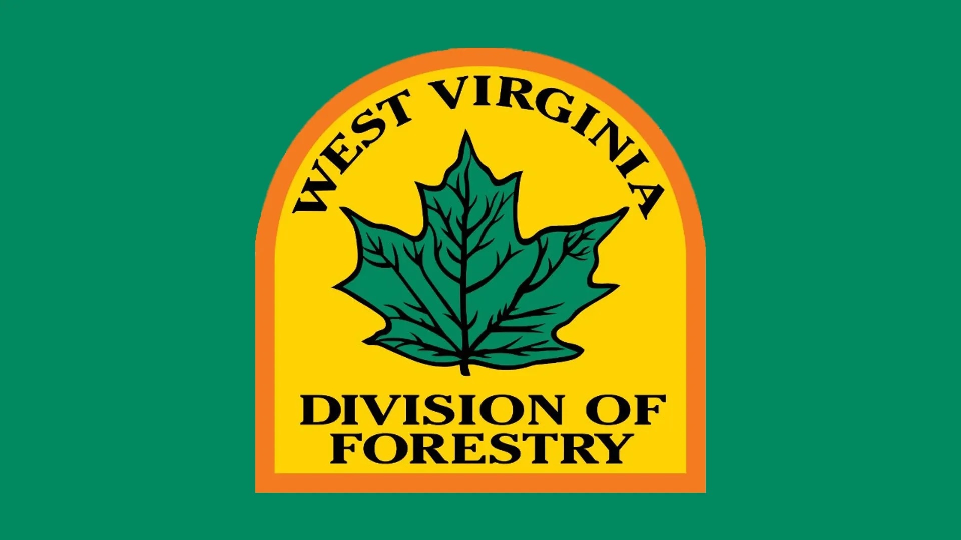 WV Division of Forestry urges caution during fall fire season starting Oct. 1