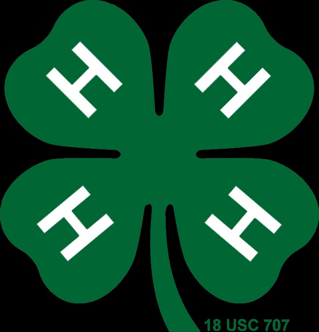 Tucker County 2025 4-H Achievement