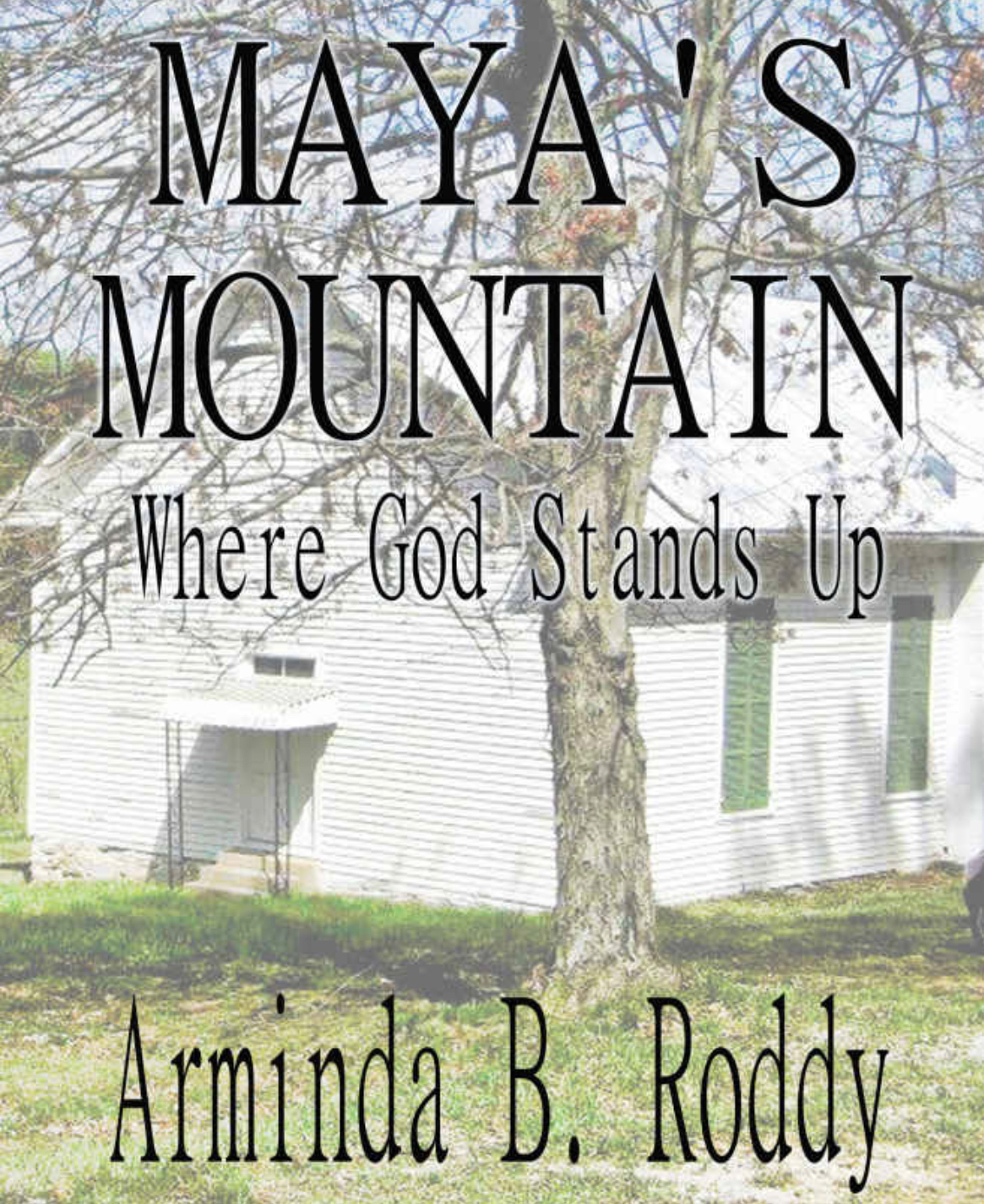 Author fulfills dream of writing a novel, sets book in the Blue Ridge Mountains