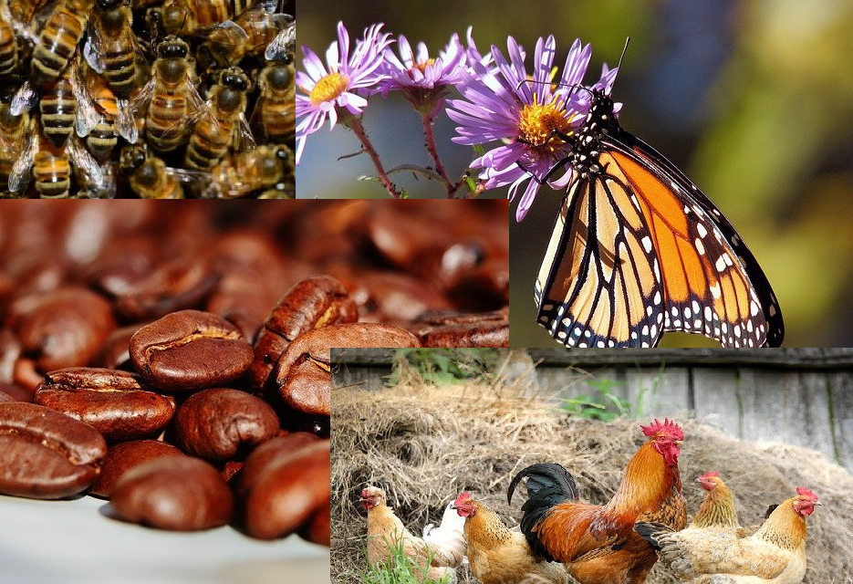 Master Gardeners to sponsor March series