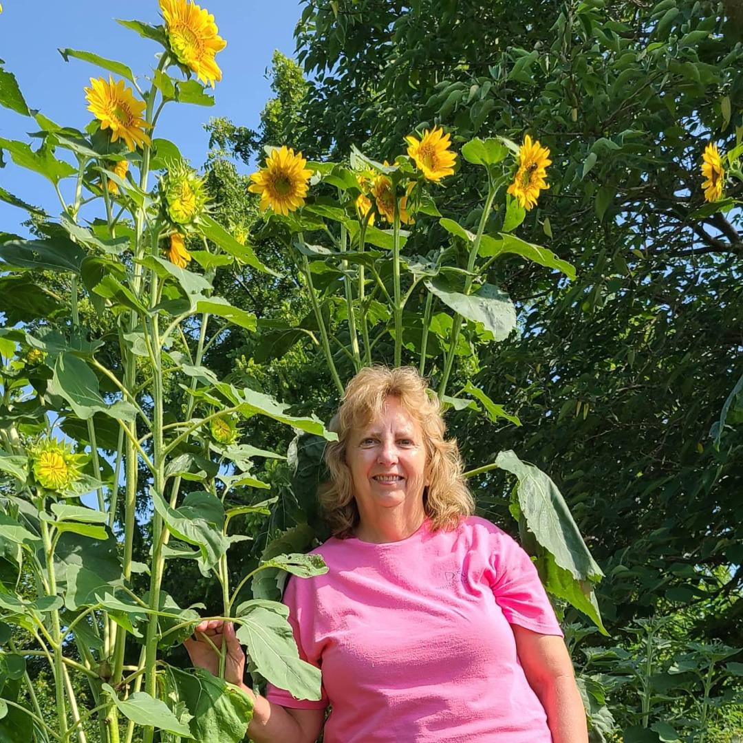 Sunflowers delight, attract all sorts of visitorsÂ