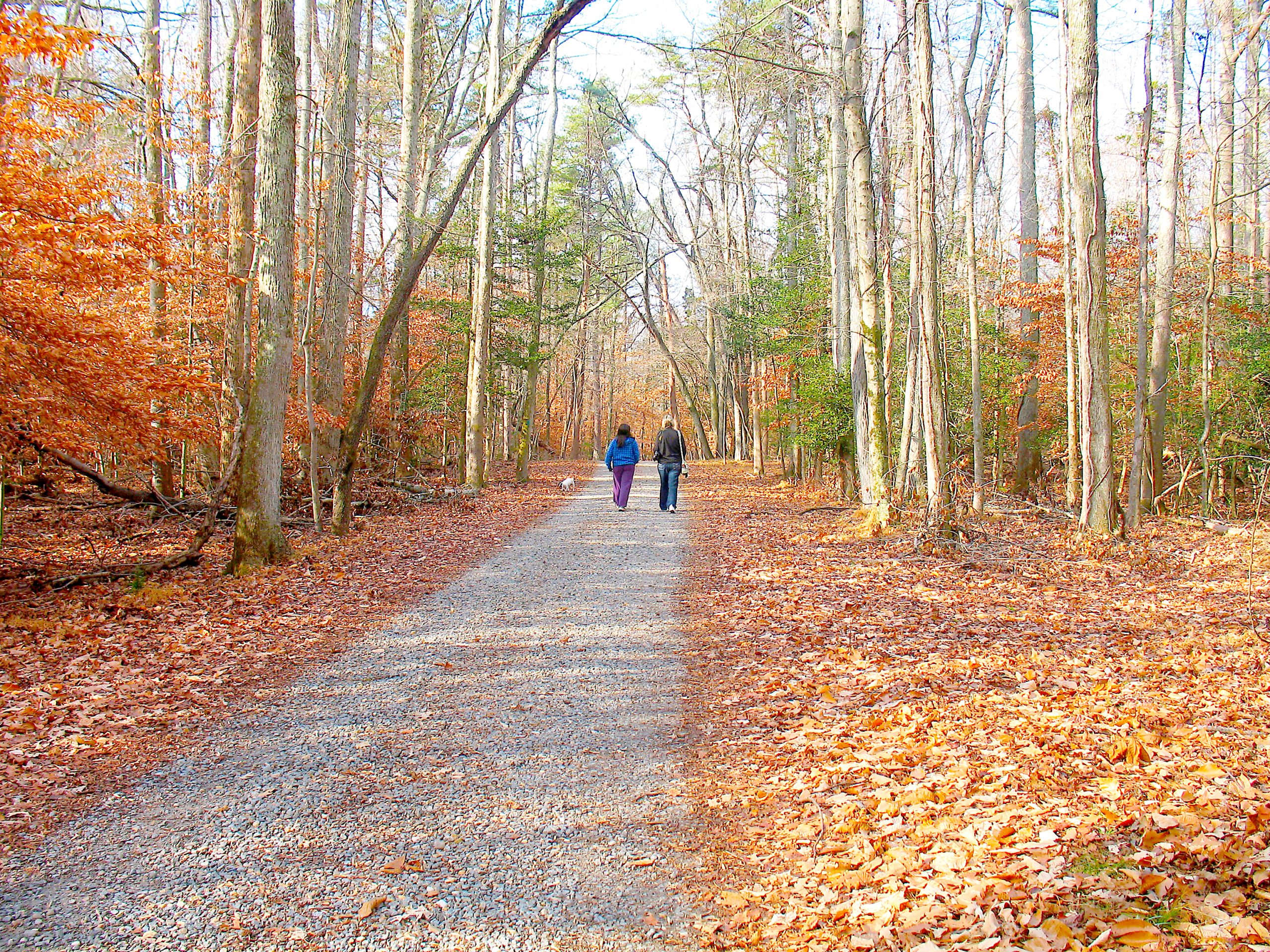 Step into the new year with a First Day Hike