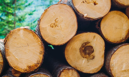 SHARP Logger Core Class to be offered at P&HCC