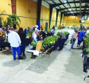 Buyers at last year’s annual Plant Sale.