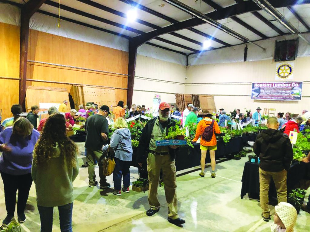 More than 100 people shopped, saving their selections in a dedicated waiting area. Dozens of Master Gardeners gave gardening advice and assisted shoppers.