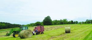 In June, before the weather turned so dry, a crew worked at Laurel Hill Park to bale hay. The park is located at 1091 Ararat Highway, Ararat. While some areas received small amounts of precipitation, others have not and as a result, some hay fields have had little new growth. (Photo by Mary Dellenback Hill)