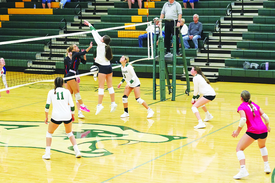 Sydney Tatum blocks a Bassett spike