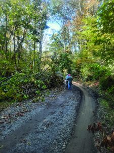 Members of the Patrick County Patriots survey tree damage on Laurel Creek Road. (Photos by Don Messer)