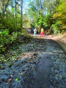 Laurel Creek Road after local crews used chainsaws to clear the road for emergency and utility vehicles.