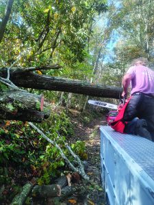 Undeterred, group members prepared to cut trees on portions of Panther Creek Road that were accessible. 