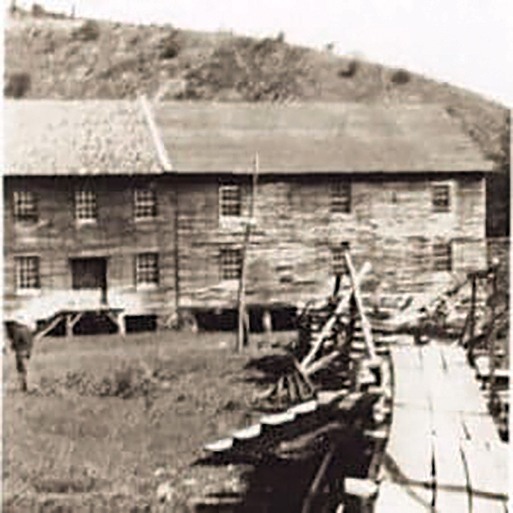 Patrick Pioneers: Wilson Turner Vaughn, Susannah DeHart Vaughn, and their sons