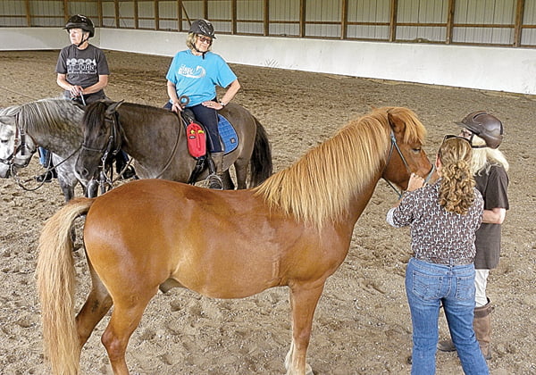 Shalimar Stables