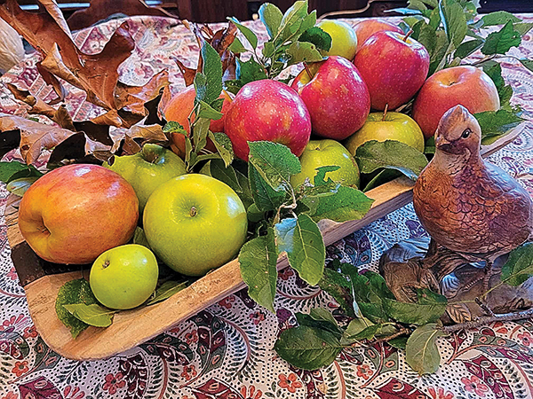 Imperial Fuji Apples from The Fruit Company