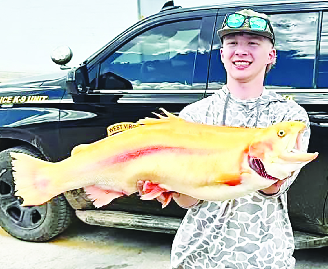 Youth Catches Record Breaking Golden Rainbow Trout in Smoke Hole