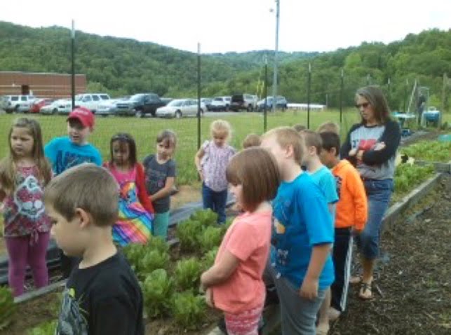 Big Otter students grow their own veggies
