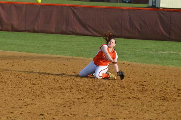 Terriers continue to dominate on the softball diamond