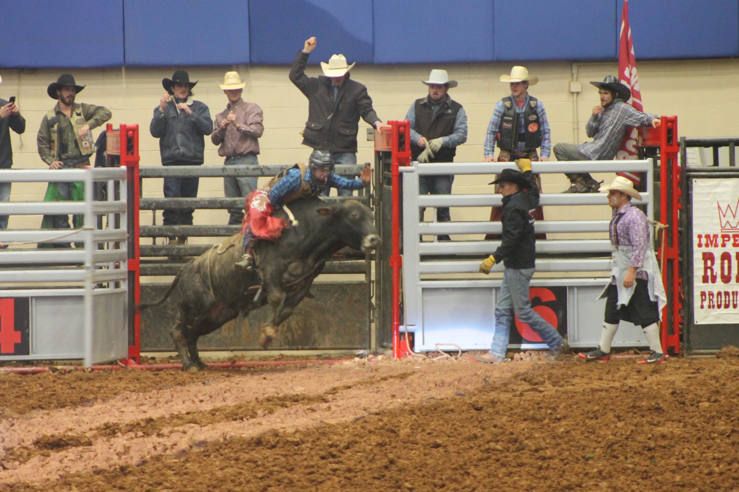 50th Stampede Championship Rodeo entertains thousands Salem Times