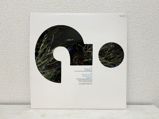 フィジカル放浪記 Vol.3】「3000円タワーヴァイナル」やってみた in