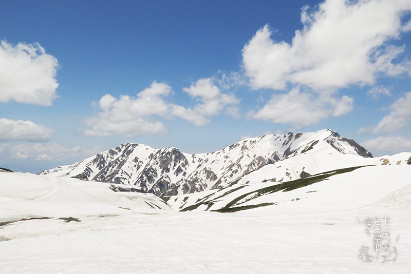 震撼身心 一生必訪立山黑部的山稜雪色美景 下一次去名古屋吧 喵