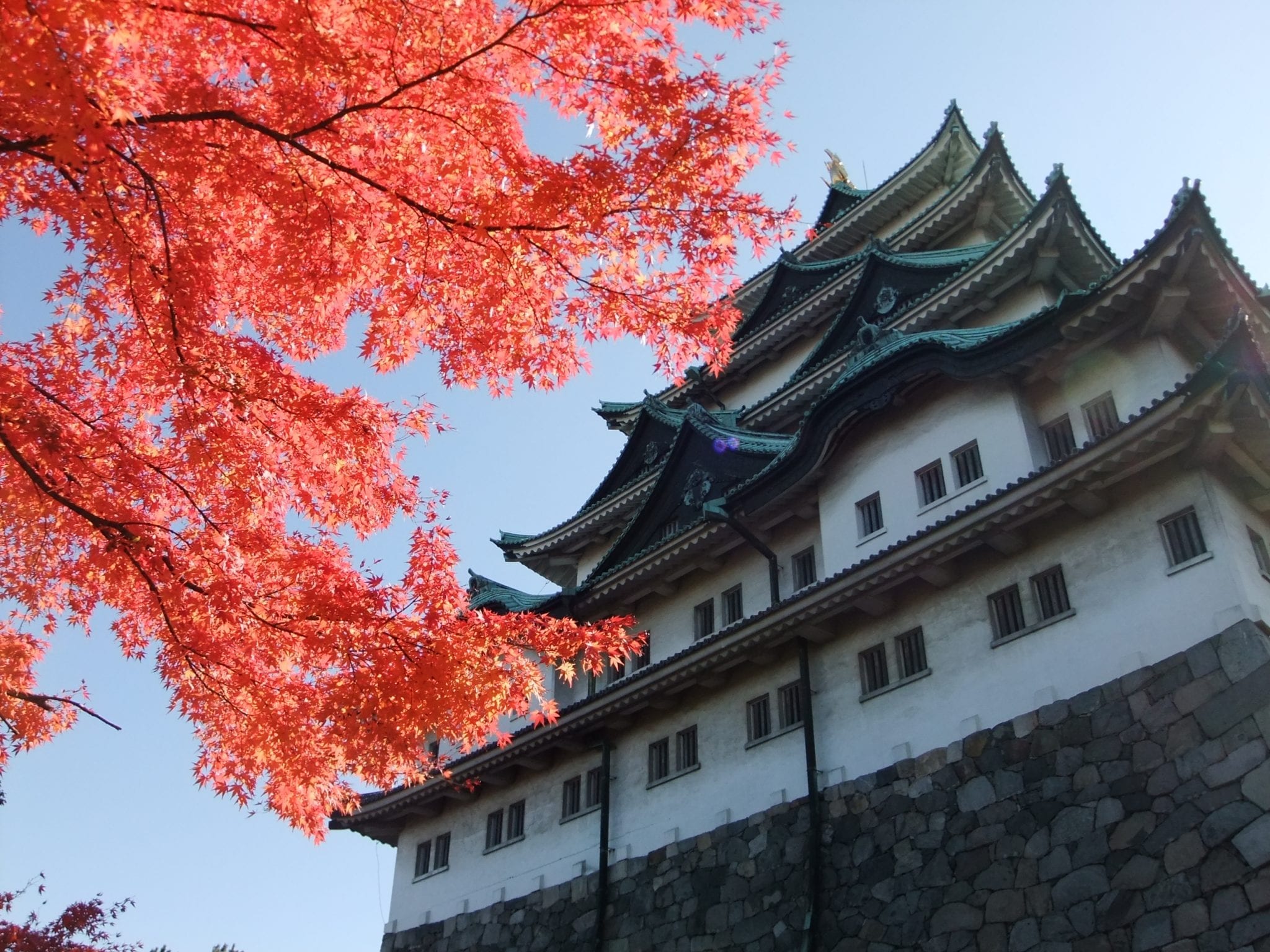 名古屋市秋天賞楓三大好去處白鳥庭園 德川園 名城公園