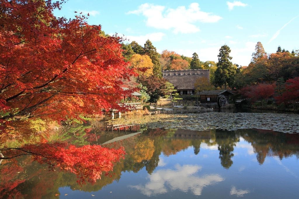 日本中部秋日賞楓季讓美景飄進ig裡香嵐溪 東山動植物園 豐田市小原交流公園