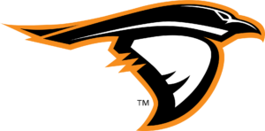 Anderson Ravens logo