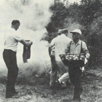 Photo of men operating a stone-pile “oven” at a clambake. One holds a basket of clams.