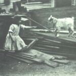 Photo of little girl playing with a goat in a backyard on Spruce Street, Providence, by Lewis Hine.