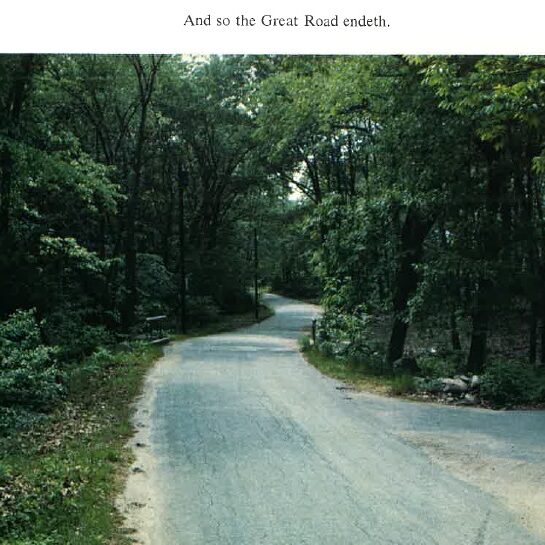 a paved road in a dense forest