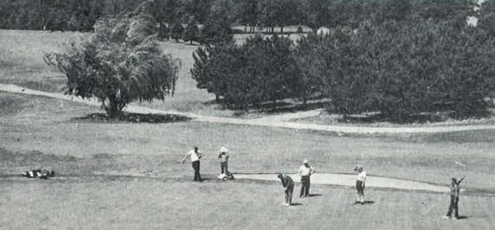 Photo of men playing golf