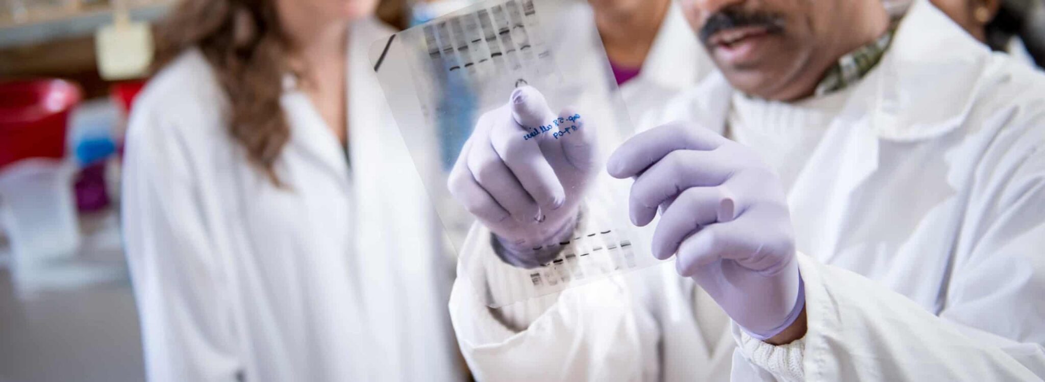 Biological Sciences (MS) | Texas A&M University-Commerce