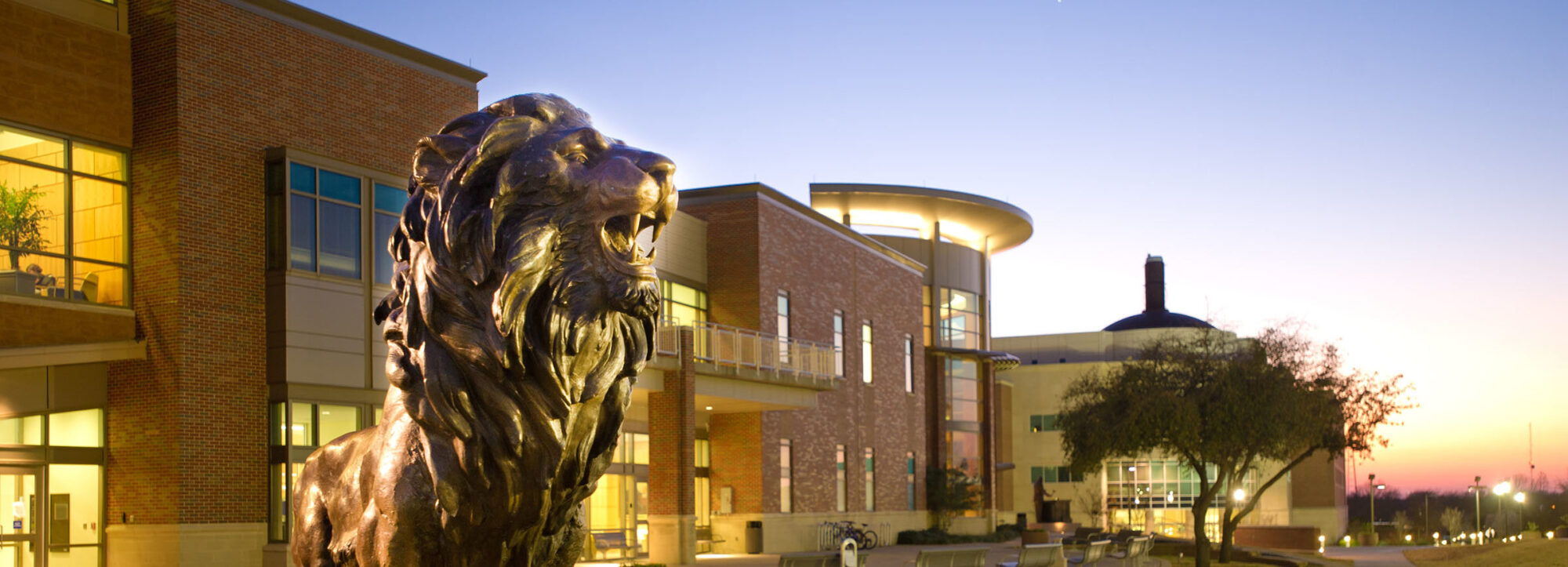 Lion statue at A&M-Commerce