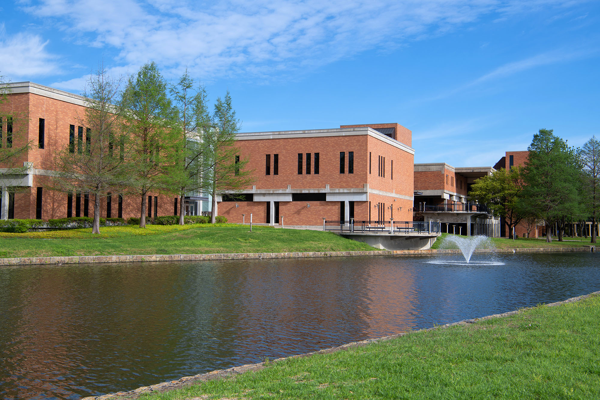 Dallas College Texas A&M