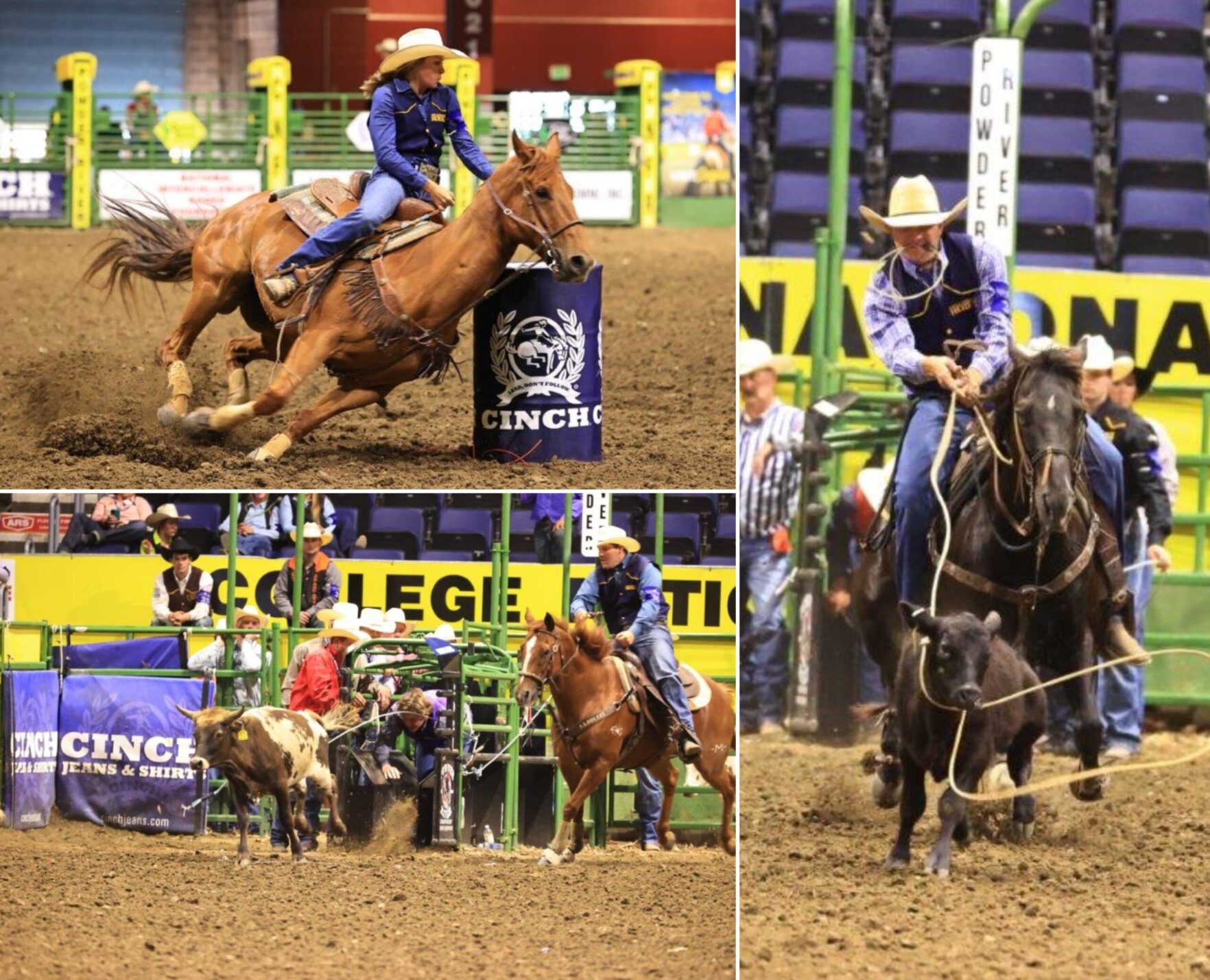 TAMUC Rodeo Team Members Shine at College Finals Texas A&M University